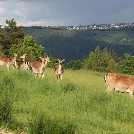 Lovely Apartment In The Black Forest Філлінген-Швеннінген Екстер'єр фото
