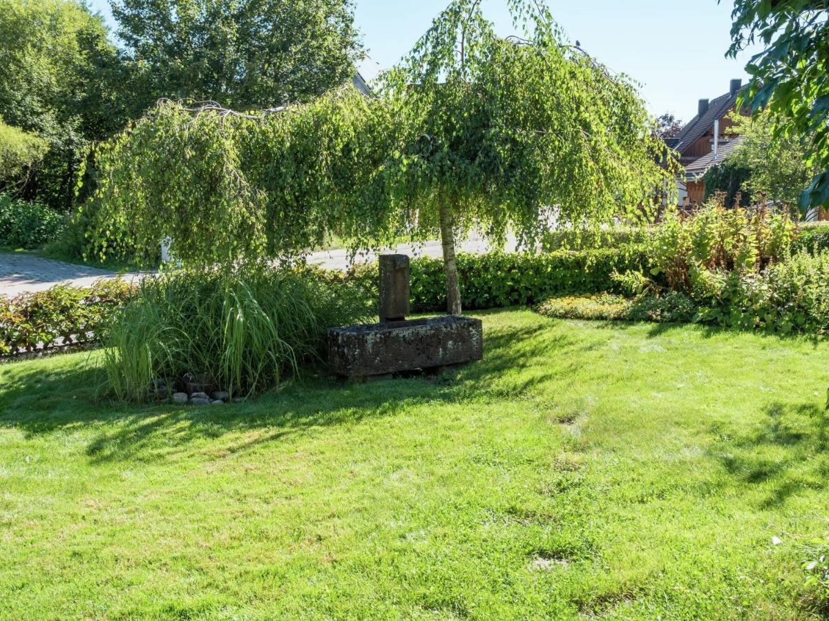 Lovely Apartment In The Black Forest Філлінген-Швеннінген Екстер'єр фото