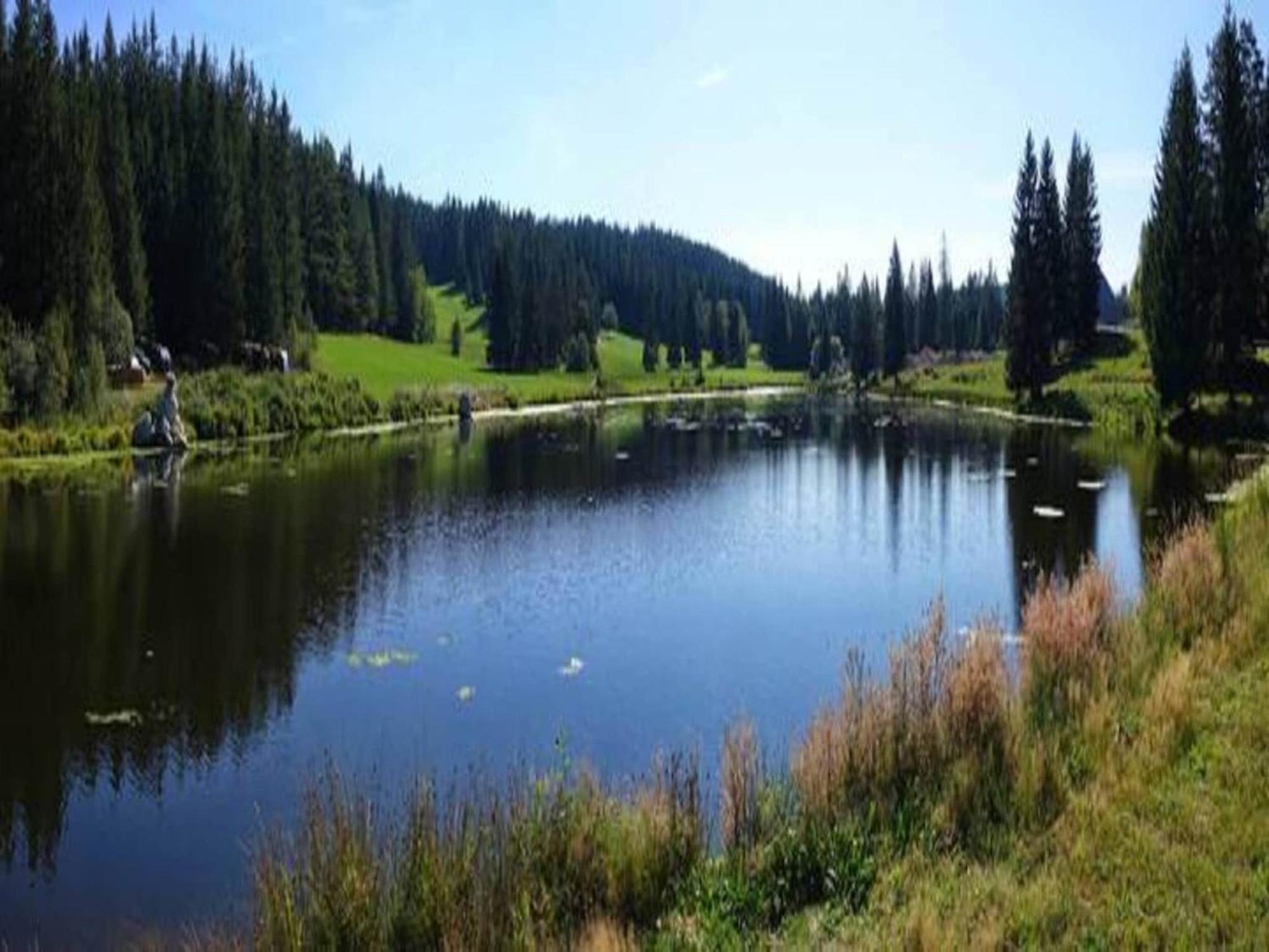 Lovely Apartment In The Black Forest Філлінген-Швеннінген Екстер'єр фото