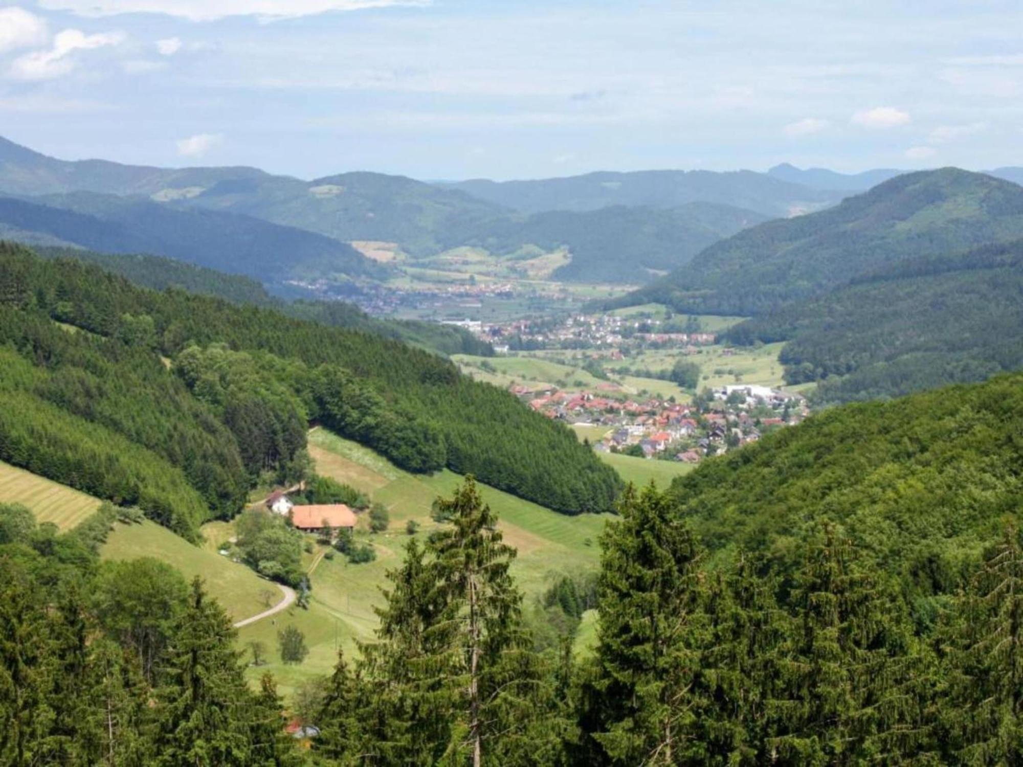 Lovely Apartment In The Black Forest Філлінген-Швеннінген Екстер'єр фото