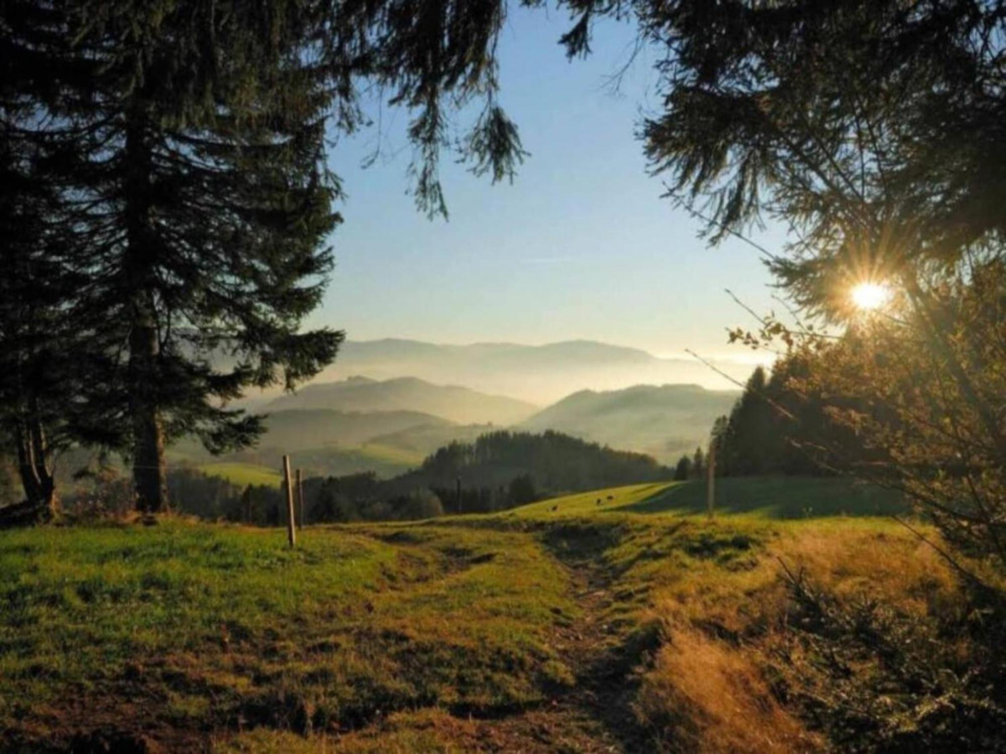 Lovely Apartment In The Black Forest Філлінген-Швеннінген Екстер'єр фото