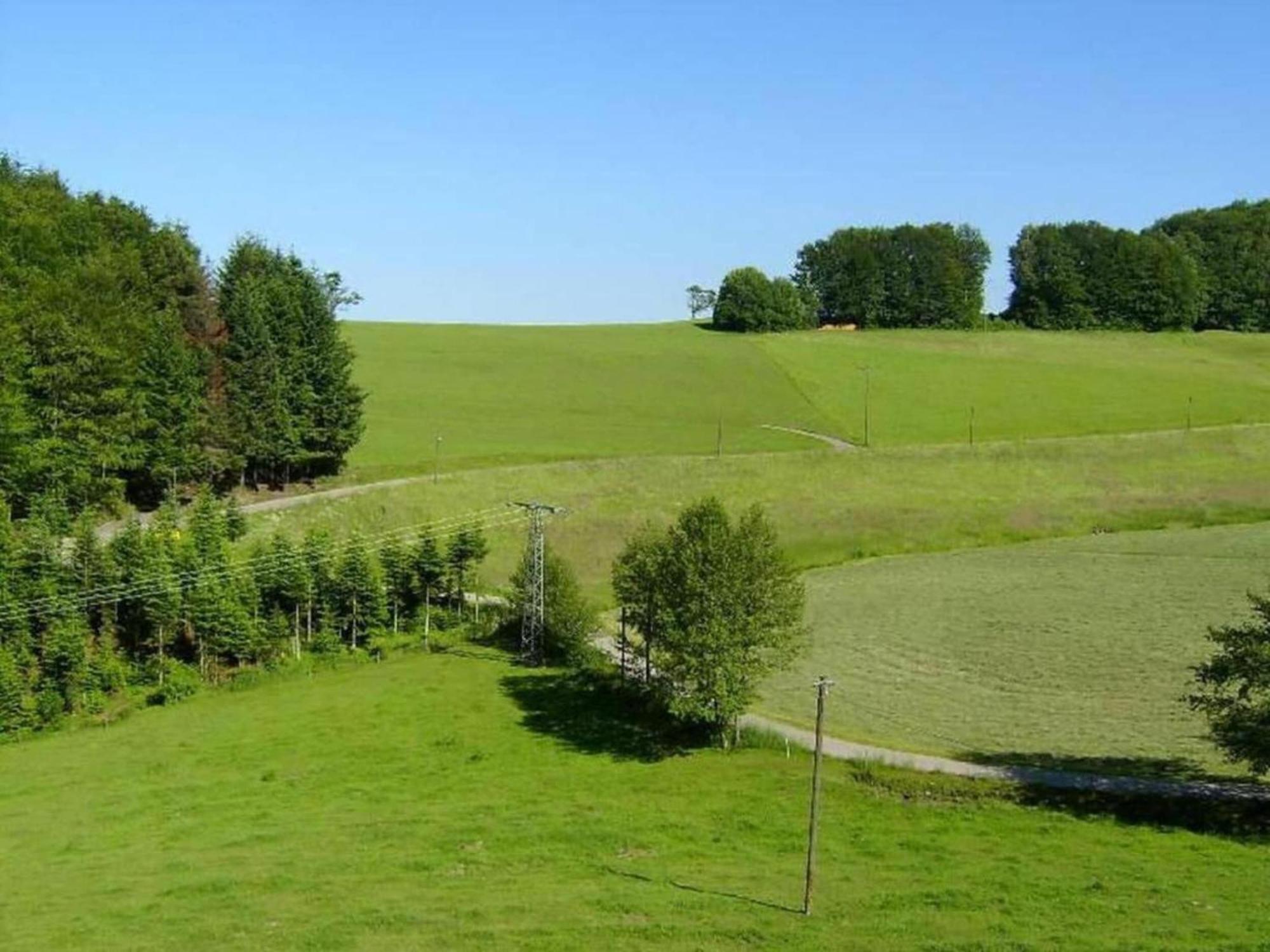 Lovely Apartment In The Black Forest Філлінген-Швеннінген Екстер'єр фото