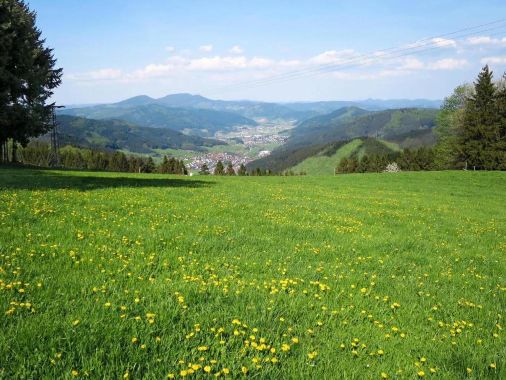 Lovely Apartment In The Black Forest Філлінген-Швеннінген Екстер'єр фото