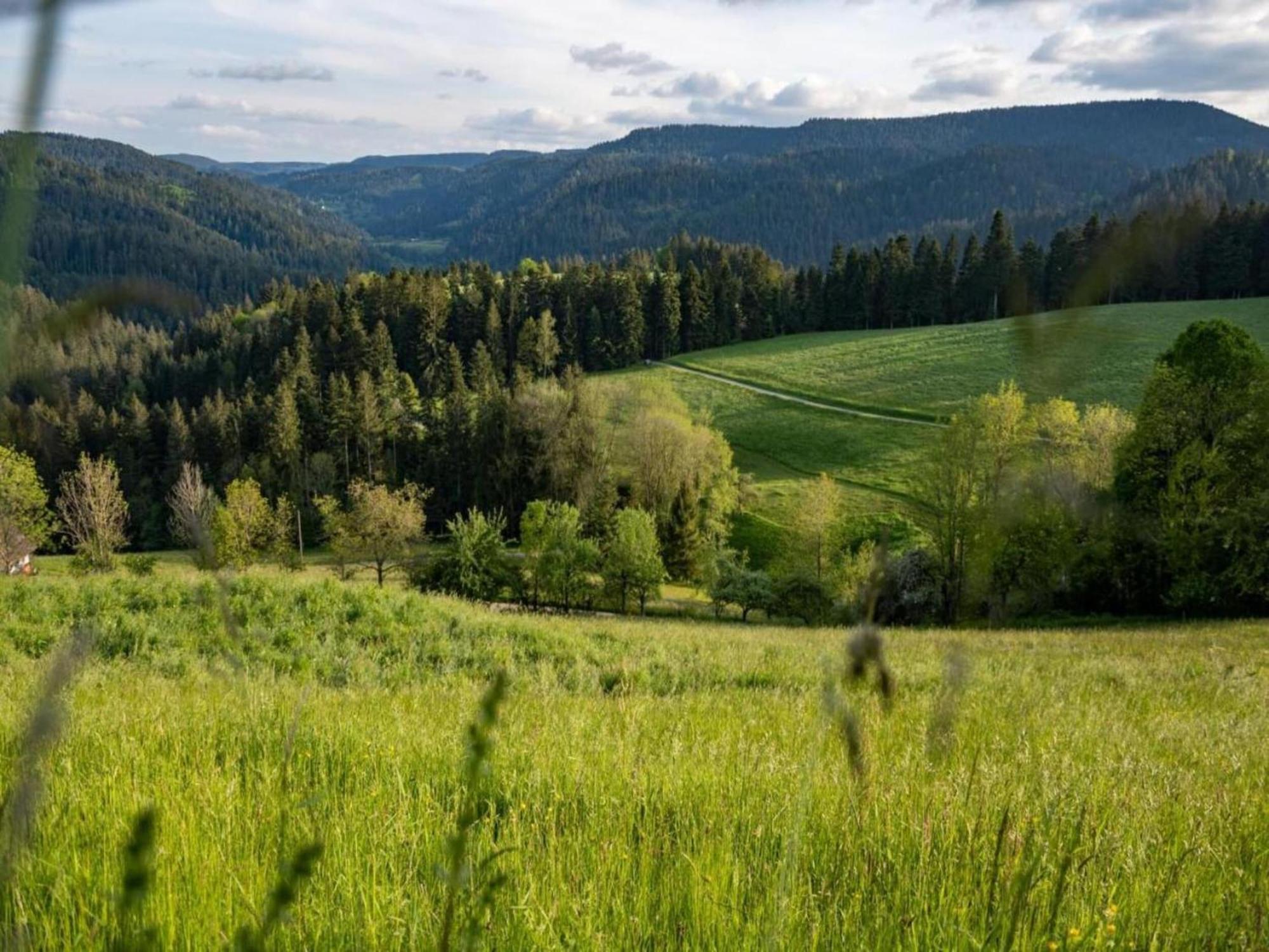 Lovely Apartment In The Black Forest Філлінген-Швеннінген Екстер'єр фото
