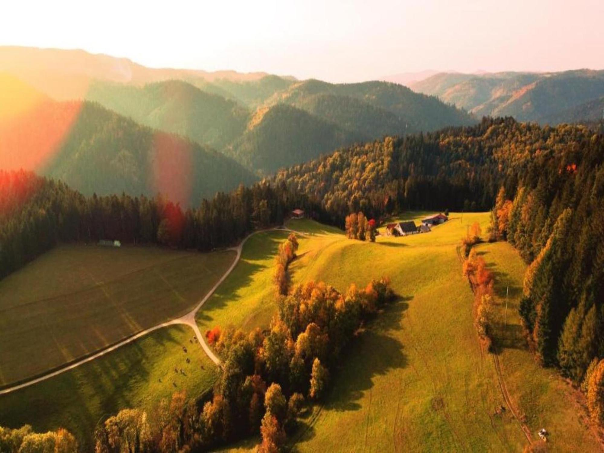 Lovely Apartment In The Black Forest Філлінген-Швеннінген Екстер'єр фото